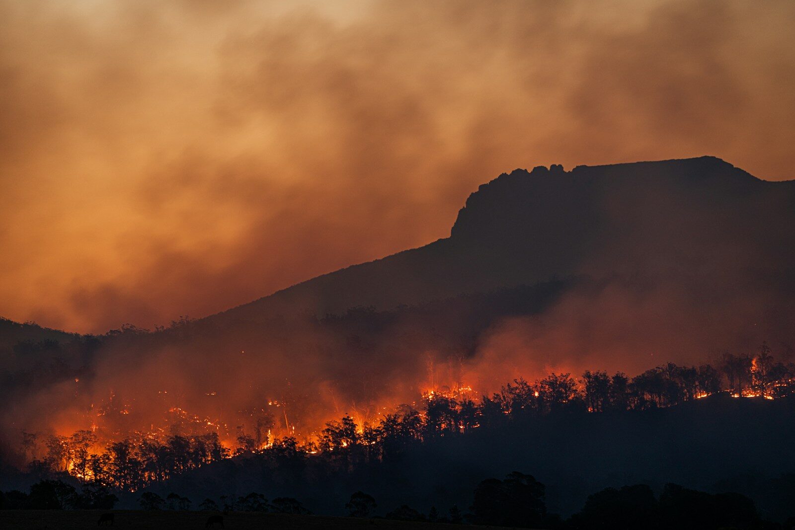 wildfire burning across hillside at dusk