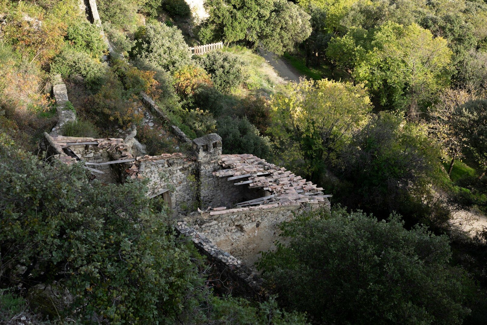 an old building in the middle of a forest